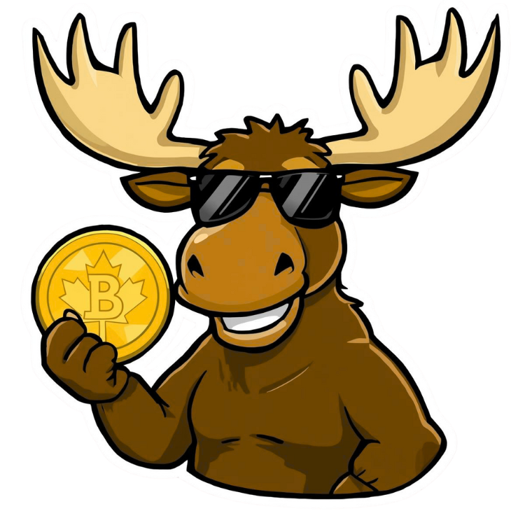 SCR Mascot Moose